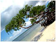 plage ilet guadeloupe